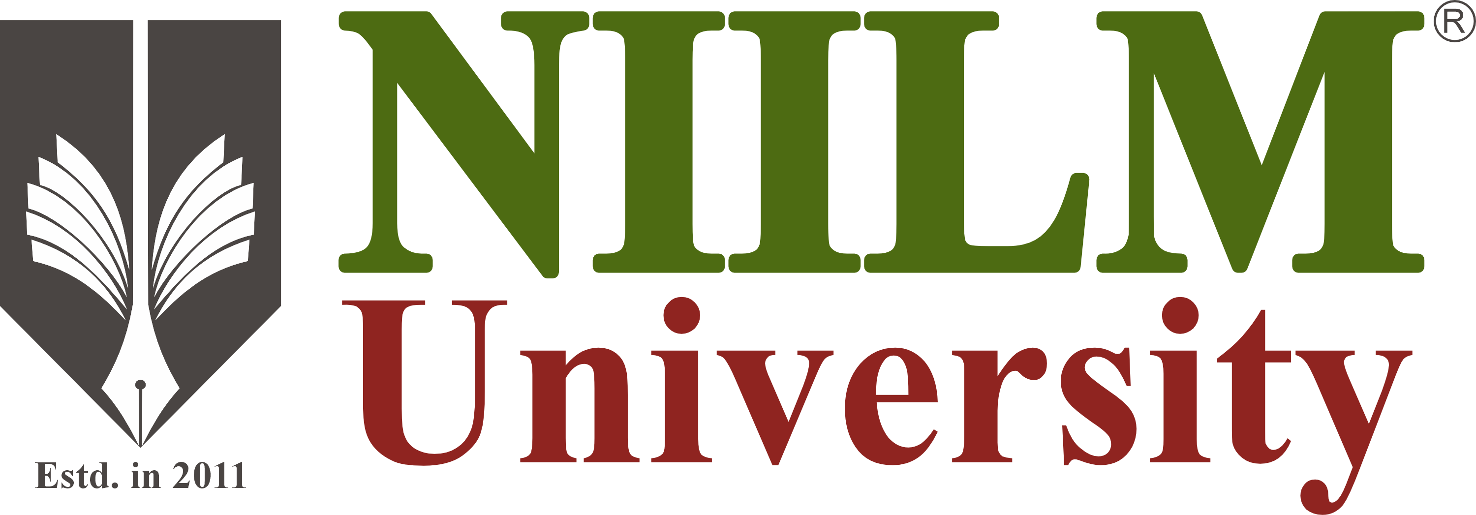 NIILM University